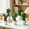 Flores Artificiales Plantas Tropicales Cactus Mini Plantas en Maceta Pequeñas Suculentas Artificiales Fabricante Suministro Directo Dropshipping Transfronterizo
