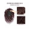 Pieza de Reissue Caliente de Maíz Pelo Esponjoso Cantidad Aumentadora de Cabello Natural Ligero Cobertura de Canas Simulación Rollo de Lana de Madre Pieza de Peluca