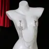 Alternativa Adulta Pequeña Mediana Erótica Pinzas para Pezones de Circonita Cadena Tentación Femenina Lazo Tachonado de Diamantes Brillantes Cadena para el Pecho Deseo Puro Cadena Sexy para Pezones