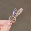 Pasador de Pelo de Conejo Tocado 2021 Nuevo Estilo Pasador Pinza Lateral Lindo Estilo Japonés Flequillo Pinza de Pato Celebridad de Internet