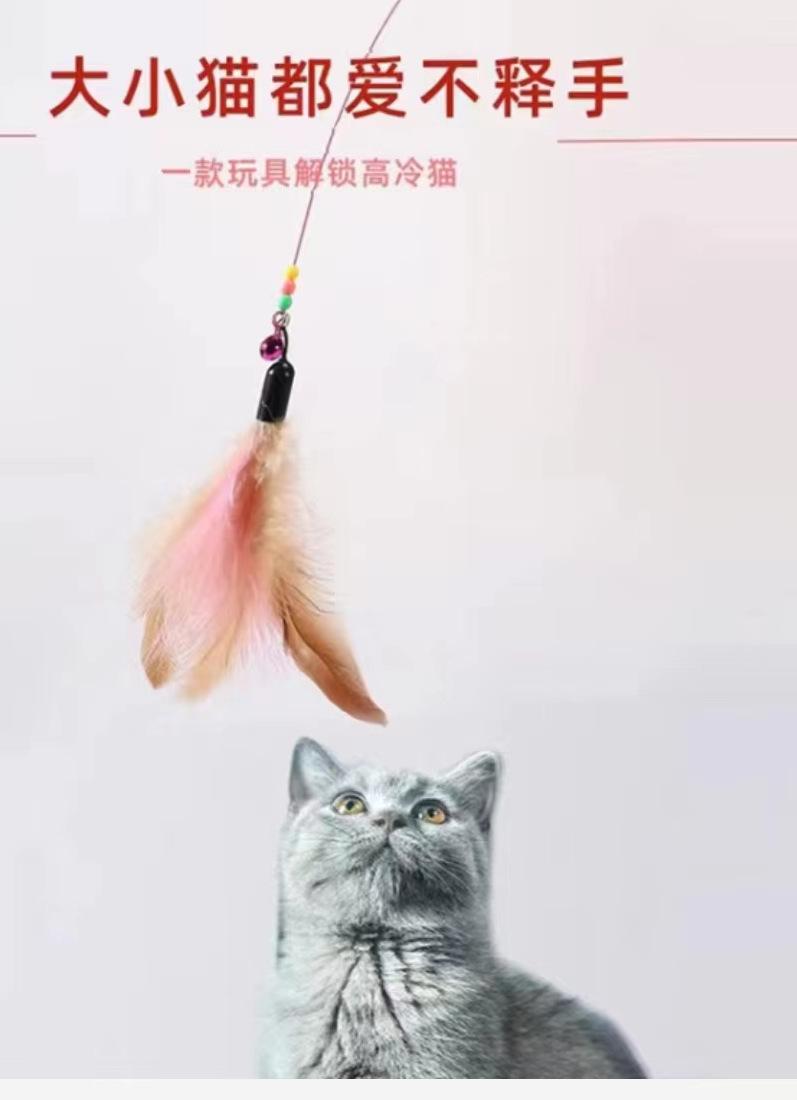 be07c5f0c926e3d0b7766f2afeb503