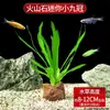 Acessórios de decoração para aquário para plantas aquáticas, oxigenador centopeia hidropônico, conjunto de rochas vulcânicas, adequado para peixe tigre pequeno