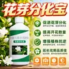 Brote Floral Diferenciación Tesoro Nutriente Melón Fruta Árbol Frutal Promover Diferenciación de Brotes Florales Proteger Flores Proteger Fruta Aumentar Producción Aumentar Ingresos Fertilizante Foliar