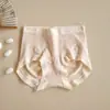 Calcinha feminina sem costura, cintura média, levanta bumbum, plus size, 100A antibacteriana, com forro de cogumelo reishi e seda de amoreira, modelo biquíni triangular, atacado