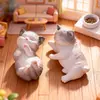 Micro-Paisagem Novo Produto Boneca Gatinho Realista Casa de Boneca Ornatos de Paisagismo Acessórios Decoração de Casa Ornatos Pequenos de Mesa