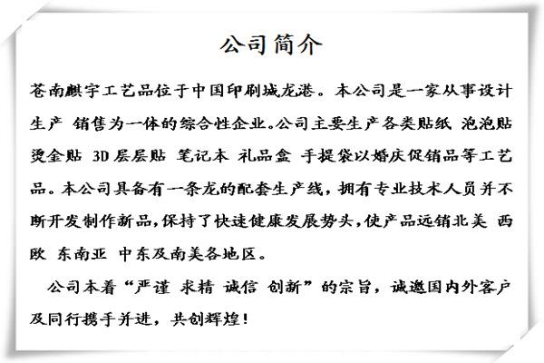公司简介3