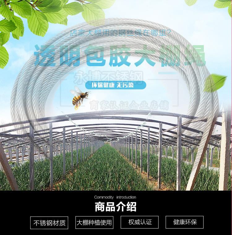 包塑钢丝绳海报_看图王