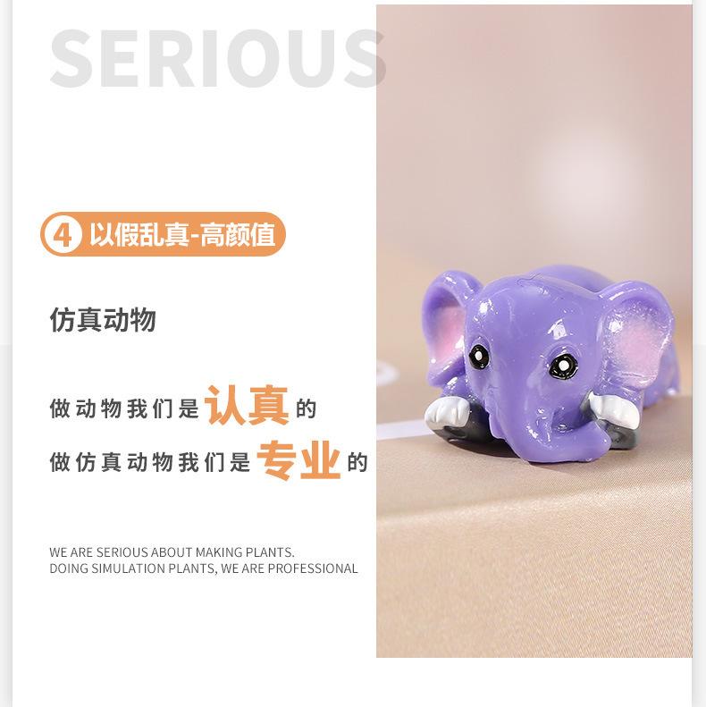 嬉戏大象_13