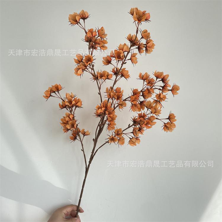 微信图片_202209081727132