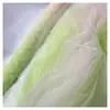 Malla Suave de Tul Degradado Verde Aguacate Malla para Creación de Entorno de Jardín de Infancia Malla para Hacer Velos de Chal de Disfraz Antiguo