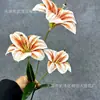 Flores de Lírio Artificiais Impressas em 3D Adereços de Decoração para Casa Materiais de Flores Artificiais Atacado Lírio-Hemerocallis de 3 Cabeças Flores de Lírio Artificiais