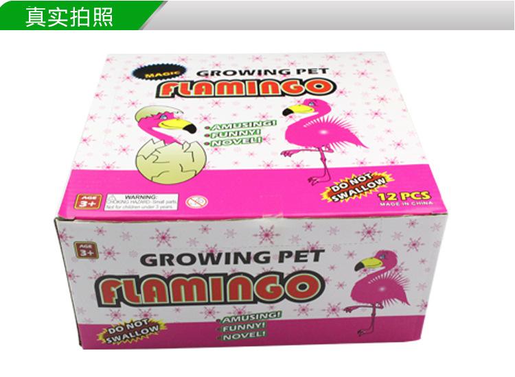 产品真实原图