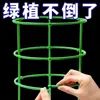 Soporte para flores para interiores, soporte doméstico, tipo universal, soporte para orquídeas pata de cangrejo, soporte para hojas de loto, soporte para plantas en maceta de jardinería, Zhao Zhi Sun