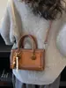 Bolso de Mano de Nicho Tendencia Estilo Coreano para Mujer 2026 Nuevo Modelo Bolso Cruzado de Lujo Ligero Bolso de Hombro de Nicho Retro de Moda Tendencia