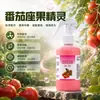 Elixir para Floração e Frutificação de Tomate Solução Nutritiva Elementos Traço Fertilizante Solúvel em Água Promoção de Flores Conservação de Frutas Alta Taxa de Frutificação Previne a Queda Previne Frutos Estagnados Estável