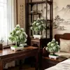 Bonsái de Planta Artificial Transfronterizo, Plantas Pequeñas de Árbol Artificial en Maceta, Macetas de Plástico, Plantas Verdes, Decoraciones de Flores Artificiales en Maceta, Artículos Populares