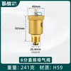 Válvula Baizhan Válvula de Purga Automática de Cobre para Calentadores Solares de Agua, Radiadores, Tuberías de Agua, Calefacción por Suelo Radiante y Calderas de Pared