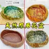 Maceta de Piedra, Piedra Natural, Planta de Juncia, Suculenta, Adorno de Bonsái Retro, Maceta de Cerámica No Hidropónica, Acuario