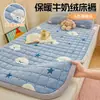 Cama de beliche para dormitório estudantil, protetor de colchão macio estampado em veludo de leite, protetor de cama, roupa de cama quente para outono e inverno, tapete tatami