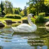 Cores de Cisne Branco Simuladas Decoração de Jardim Enfeites Artesanato para Paisagismo de Lagos Cisne Isca