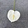 Película Simulada Individual Impresa en 3D Arco de Boda Palma Roja Material de Flores para Camino de Acceso Decoración del Hogar Accesorios para Disparos