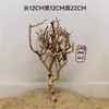 Rama Mini Tailandesa Falsa tamaño pequeño Multirrama Rama Pequeña Densa Micro-paisaje Pino de Bienvenida Árbol de Brasil Árbol de Musgo Árbol de Empalme
