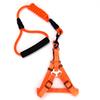 Correa para Perro, Cuerda para Pasear Perros, Correa para Perro Tipo Nailon, Suministros para Mascotas, Arnés, Collar, Cuerda de Escalada al Por Mayor