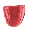 Módulo de Práctica de Sutura para el Examen de Calificación de Práctica Odontológica Más Vendido Módulo de Sutura para Periodontitis