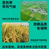 Fideos de arroz finos Guangliangpo al por mayor 500g, artesanía tradicional para cocina casera, sopa fría de fideos, fideos hervidos, fideos salteados, venta al por mayor