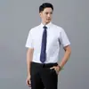 Camisas Masculinas, Camisas Brancas de Manga Longa Masculinas, Camisas Masculinas de Verão Antirrugas Respiráveis Absorventes de Suor, Camisas Masculinas Atacado com Logo Bordado