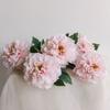 Nuevo Estilo Chino Simulación 5 Cabezas Concubina Imperial Flor de Peonía Ramo Decoración Interior de Boda Flor Artificial Falsa Adornos de Flor de Peonía