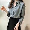 Camisa de Chiffon para Mulheres 2026 Primavera e Outono Nova Estilo Coreano Solta Tamanho Grande Elegante Manga Longa Profissional Camisa Ol
