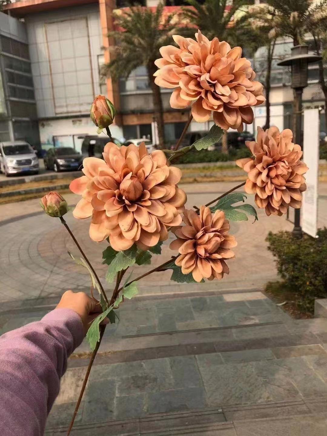 微信图片_20241004173743.jpg