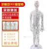 Cuerpo Humano Meridiano Punto de Acupuntura Ultra Claro Latón Meridiano Modelo Humano Masculino y Femenino Medicina Tradicional China Cobre Humano Acupuntura Punto de Acupuntura Texto