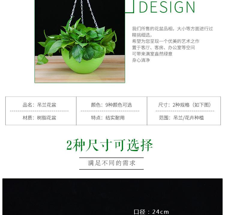 吊盆详细3.jpg