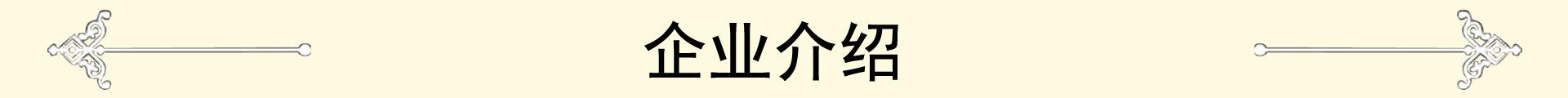 企业介绍