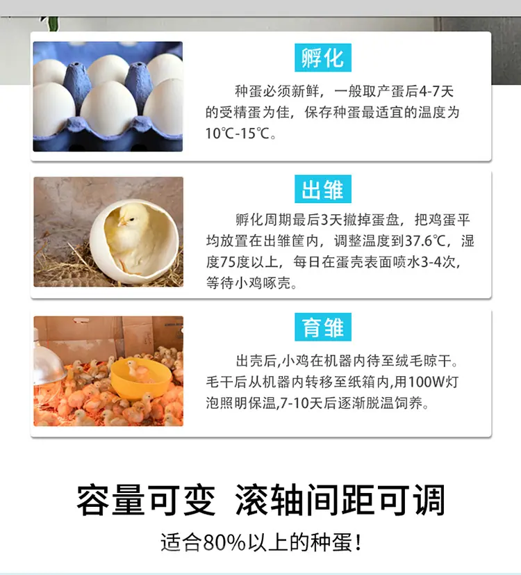 白壳详情1_06