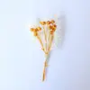 Nuevo Mini Ramo de Flores Secas Mezcladas con Ramo de Punta de Dedo Caja de Regalo DIY Tarjeta de Felicitación Decoración de Regalo Amazon