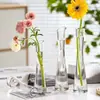 Jarrón de cristal de alto valor para interior, de caña alta, con una sola flor, jarrón de cristal especial para una sola flor, adorno de jarrón de cristal transparente