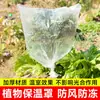 Capa de Proteção para Plantas contra o Frio, Capa Transparente de Proteção de Inverno para Árvores Frutíferas, Capa de Proteção para Árvores à Prova de Geada e Chuva, Saco à Prova de Poeira, Filme de Isolamento para Vasos de Flores