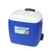28L venta al por mayor PU incubadora coche caja conservadora barra de tiro congelador para llevar exterior plástico cubitera