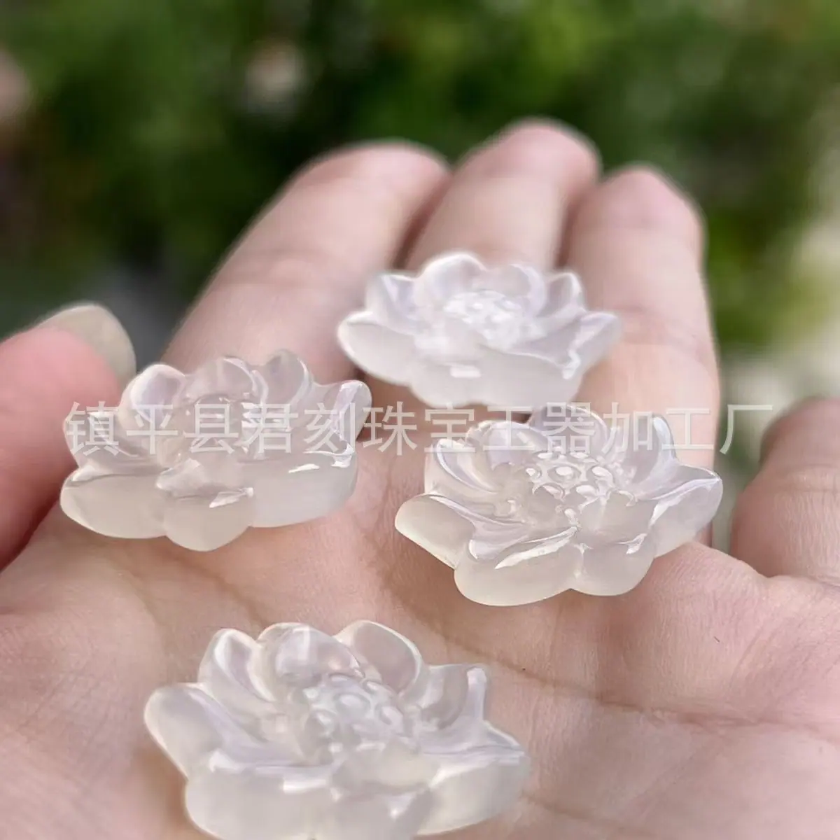 微信图片_20251015080343_1752_214.j