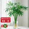 Bambú Dorado Hidropónico Planta en Maceta de Interior para Sala de Estar, Oficina y Decoración del Hogar, Vegetación de Escritorio Fácil de Cuidar