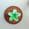 Diseño de Nicho Europeo y Americano Clip para la Parte Posterior de la Cabeza con Flor de Bauhinia Verano Horquilla con Flor de Huevo Elegante Clip de Tiburón Accesorios para el Cabello para Mujeres