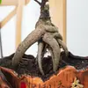 Bonsai de figueira grande, adequado para mesas de escritório, salas de estar e como folhagem de interior; Plantas de figueira pequena em vaso, fáceis de cultivar e cuidar