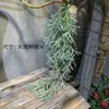 Helecho Colgante Estilo Bosque Techo Pared Verde Planta Decoración Enredadera Tipo Hilo Colgante de Helecho