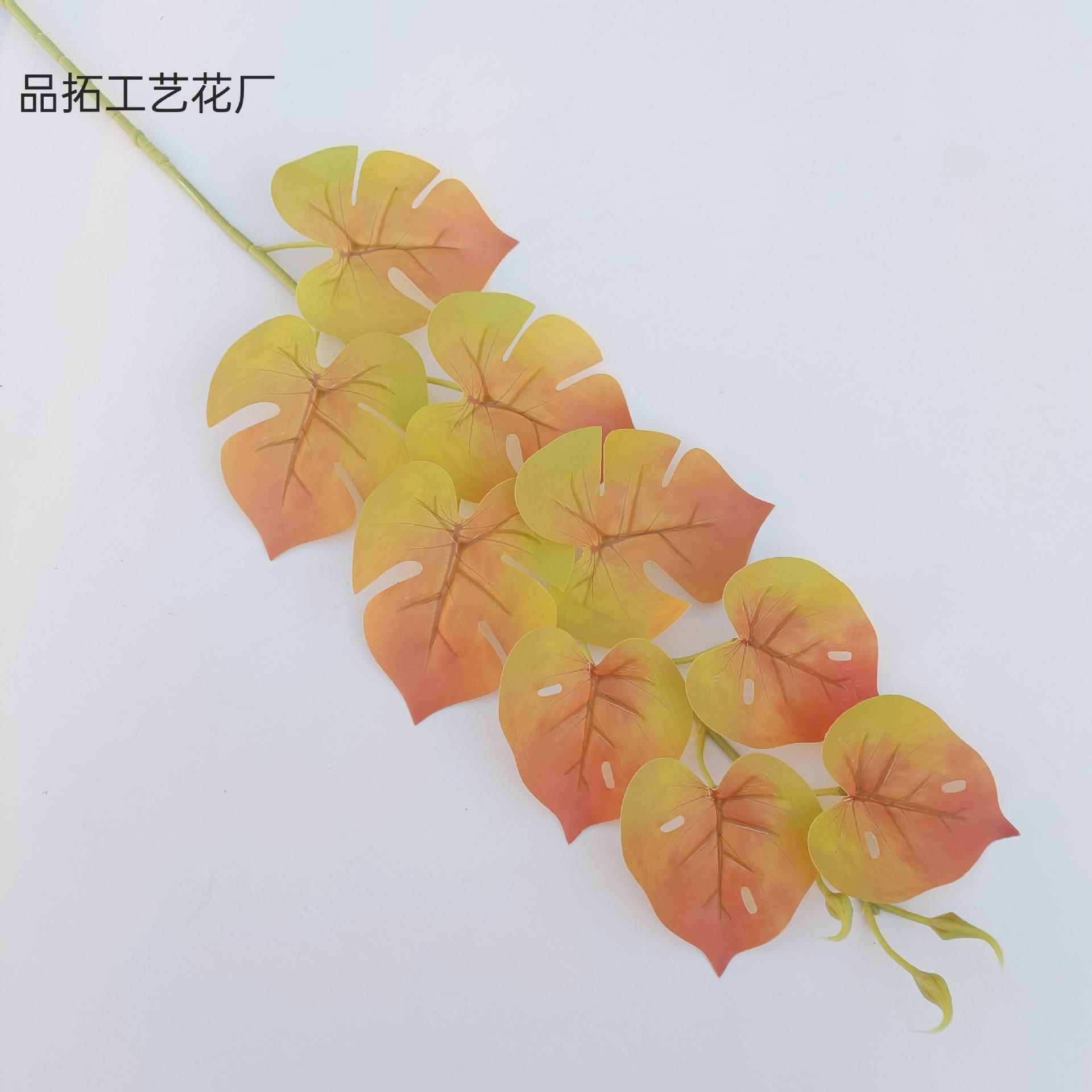 896230cc214f3bfa168e97a80ad66f