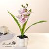 Flores Artificiais com Toque Real, Orquídeas Phalaenopsis, Pequenos Bonsais Artificiais, Decorações para Sala de Estar e Quarto, Ornamentos de Decoração para Mesa de Escritório e Casa, Plantas Artificiais em Vasos