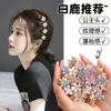 Pinza Pequeña Mini Flor Princesa de Resina para Cabello para Mujeres, Delicado Pasador Lateral para Flequillo y Cabello Suelto, Primavera y Verano
