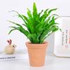 Dropshipping Helecho Nido de Ave Helecho en Maceta Follaje de Interior Planta Verde Flor Sala de Estar Oficina Escritorio de Empresa Planta Novedad
